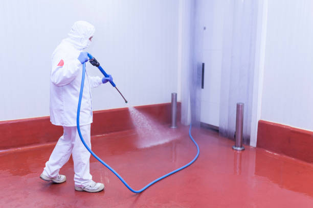 Professional Pressure Washing Services in Morrisville, VT